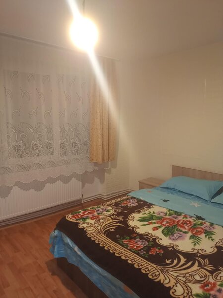 Aleea Castanilor nr. 6